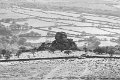 vixen tor